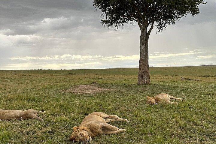 Lake Naivasha And Lake Nakuru Overnight Tour