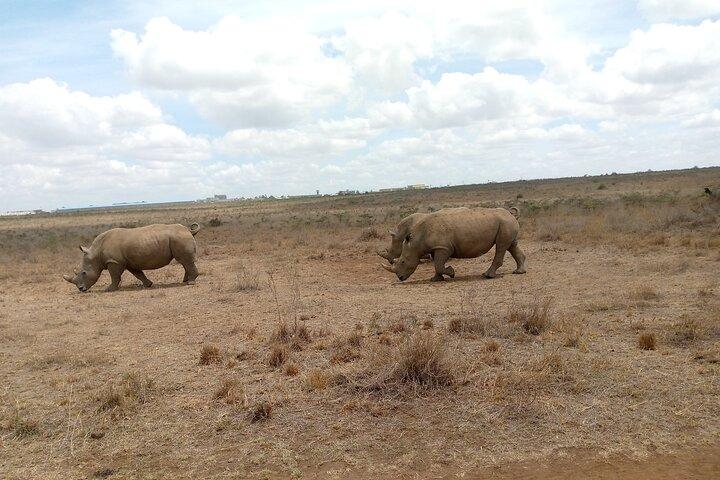 Lake Naivasha And Lake Nakuru Overnight Tour
