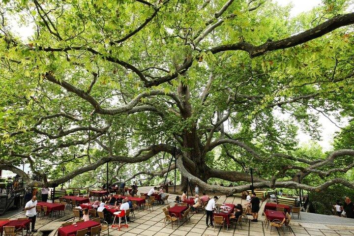 Full Day Guided Tour to Bursa with Lunch and Cable Car