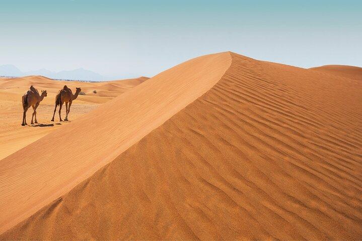 Desert Safari Abu Dhabi w/ Sand Boarding, Camel Ride & BBQ Dinner