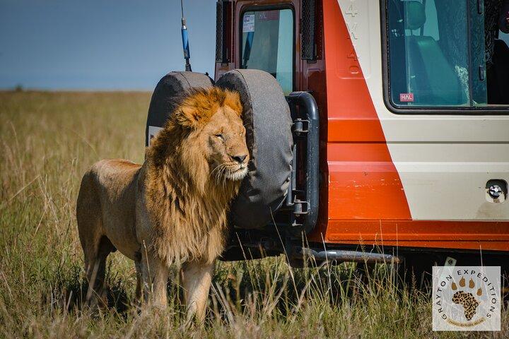 5-Day 4 Nights Masai Mara-L Nakuru-Hell's Gate Budget Safari