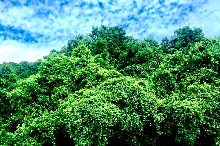 A day trip in Karongi
