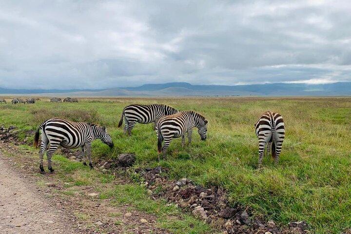 04 Days Tarangire, Serengeti and Ngorongoro crater group (Camping