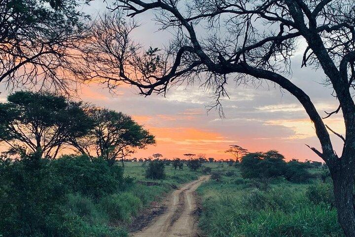 04 Days Tarangire, Serengeti and Ngorongoro crater group (Camping