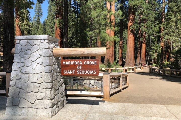 Yosemite Highlights Small Group Tour