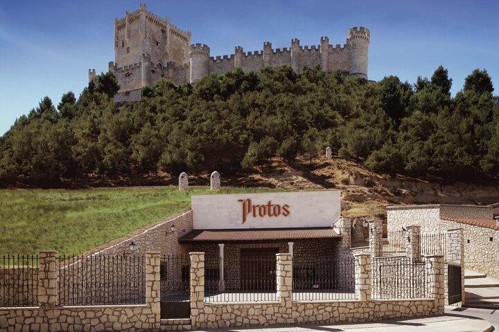 Premium Tour to Ribera del Duero with Wnologist Guide