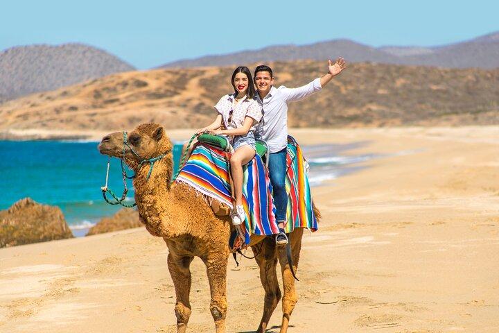 UTV and Camel Ride in the Cabo Desert