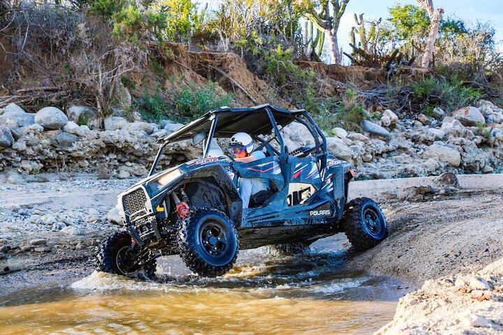 UTV and Camel Ride in the Cabo Desert