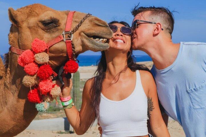 UTV and Camel Ride in the Cabo Desert