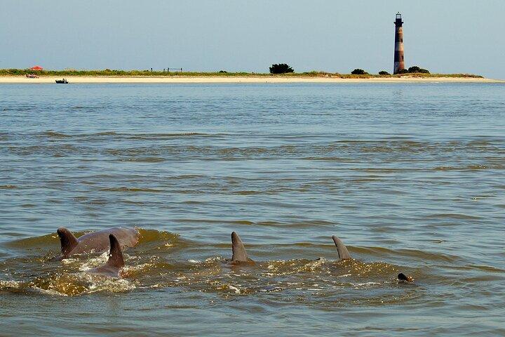 Charleston Eco Boat Cruise with stop at Morris Island Lighthouse