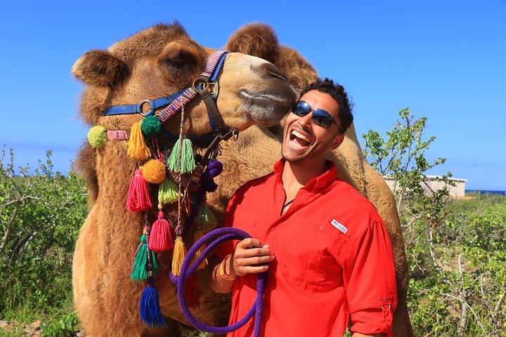 Camel riding experience on the shores of the Pacific Ocean