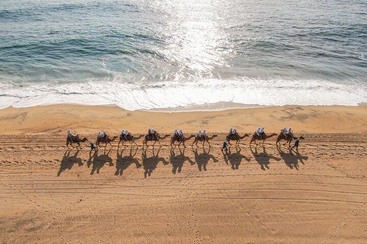Camel riding experience on the shores of the Pacific Ocean