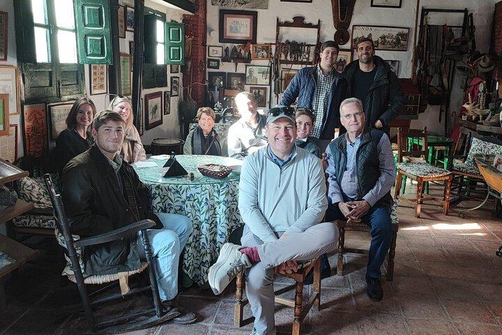 Private Guided Day Trip to the White Villages and Ronda
