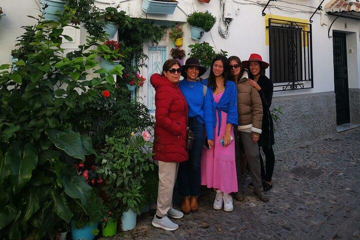 Private Guided Day Trip to the White Villages and Ronda