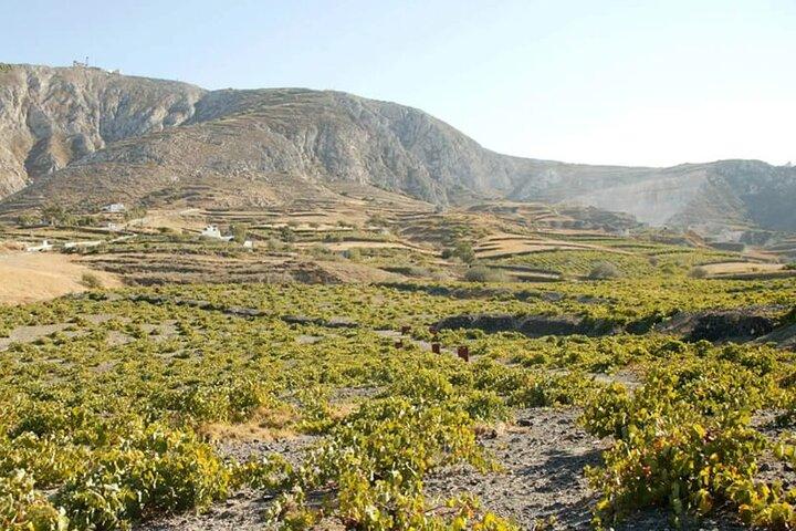Santorini: Must-See & Winery Visit Private Tour