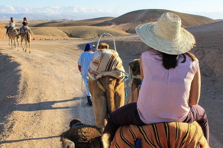 (including pick-up) Camel Rides, Quad Bikes, and diner in Agafay