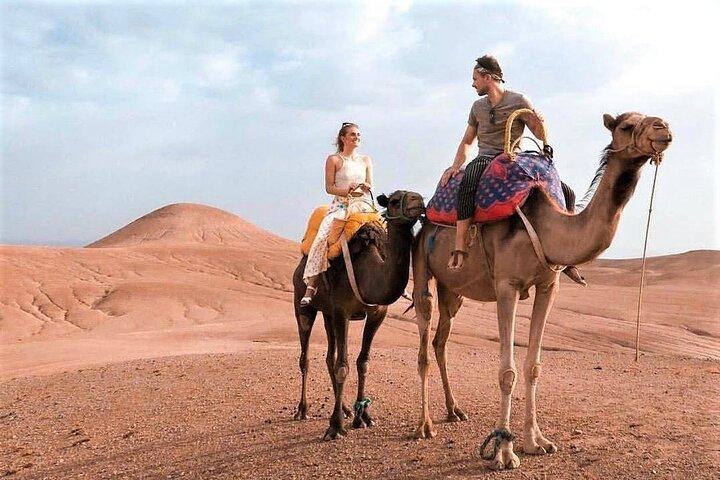 (including pick-up) Camel Rides, Quad Bikes, and diner in Agafay