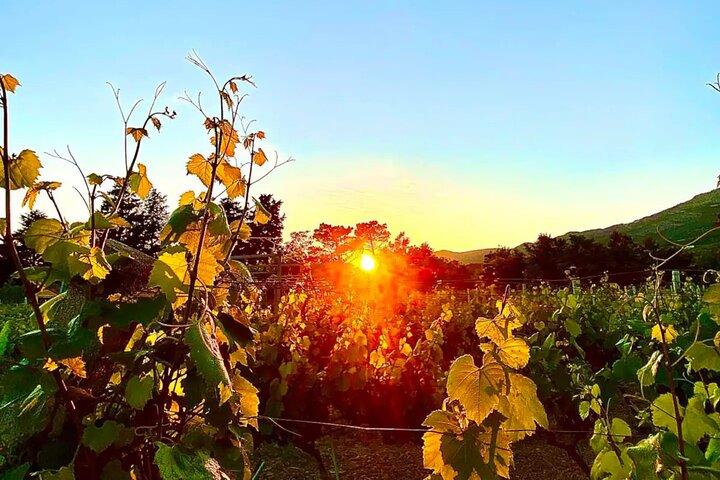 Private Wine Tasting Under The Stars With Sunset Panorama
