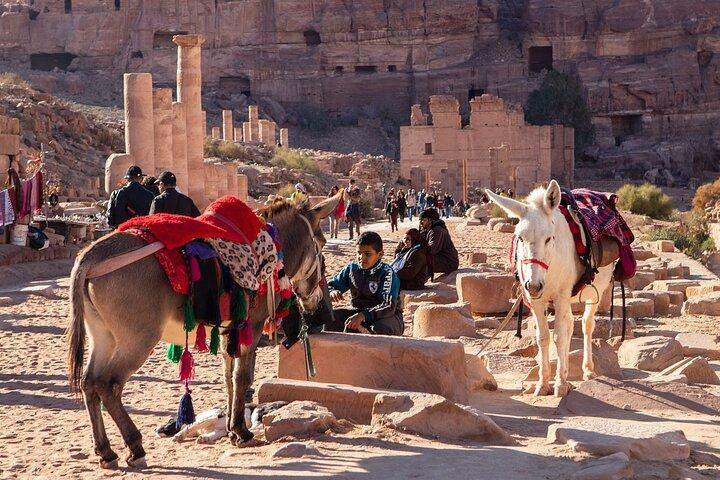 2 Day Petra Tour from Jerusalem + FREE Traditional Lunch