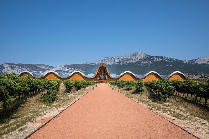 Full Rioja Wine Tour with Lunch – Private Tour from San Sebastian