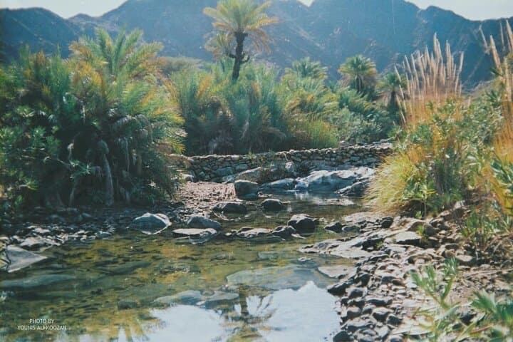 Paradise Valley & Atlas Mountains Adventure with optional LUNCH