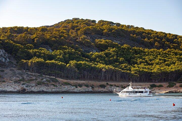 From Trapani : Boat Tour Aegadian Islands Favignana and Levanzo Lunch