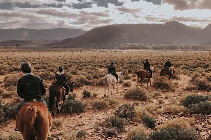 Cape Town Horseback Full Day Safari tour