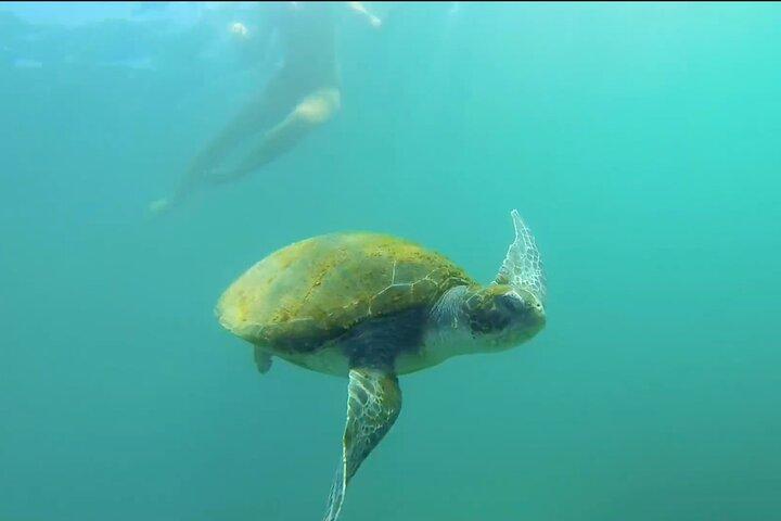 La Jolla Kayak and Snorkel Tour for two people (tandem kayak)