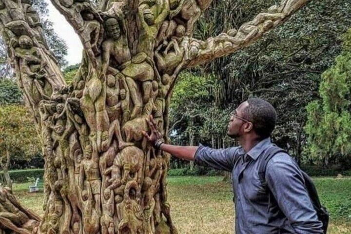 Boti Falls, Botanic Gardens, Cocoa Fam, Umbrella Rock Experience