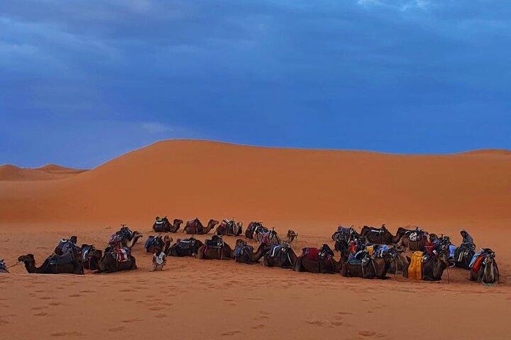 Zagora M’hamid, 3 Days Tour to Erg Chigaga Desert from Marrakech