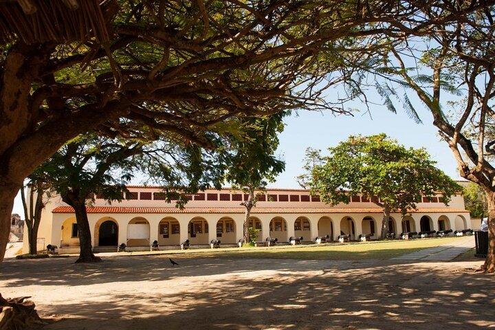 Mombasa Half Day City Tour with Fort Jesus and Haller Park