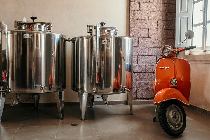 Santorini in a bottle: Craft beer, Wine and Ouzo tasting