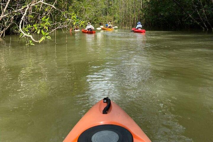 Kayak Mangrove Tour in Manuel Antonio