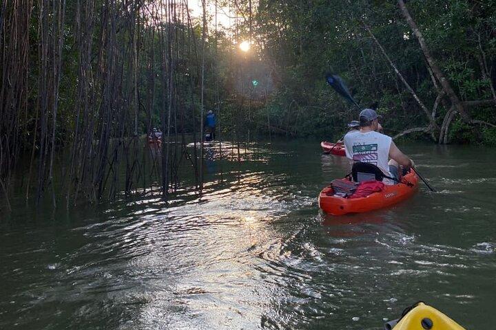 Kayak Mangrove Tour in Manuel Antonio