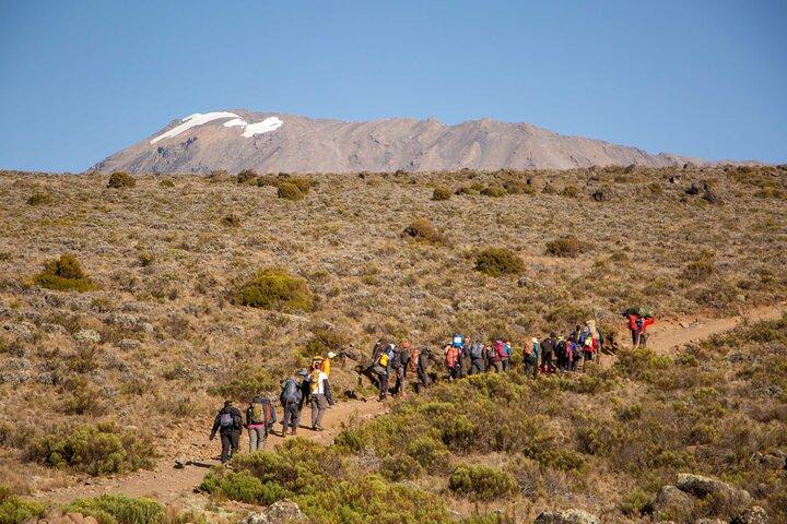 Mount Kilimanjaro Climb, Machame Route 7 Days Trekking