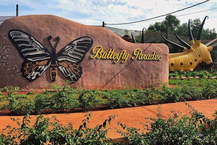 Life on the Lake & Nature's Beauty: Mechrey & Butterfly Paradise