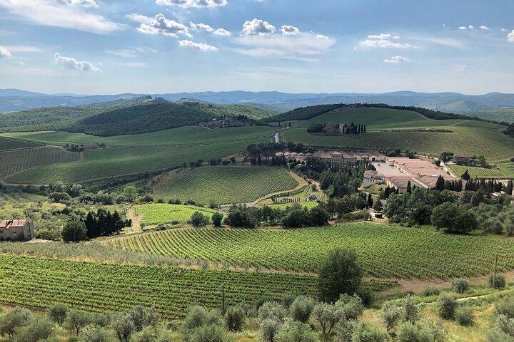 Discover Chianti Classico Wines