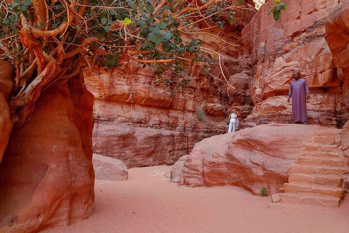 Wadi Rum Half Day Jeep Tour Without Overnight