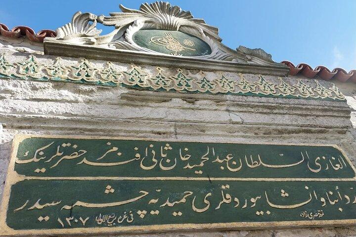 Topkapi Palace with Harem Walking Tour with Guide