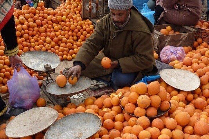 Atlas Mountains and Berber Villages Tour from Marrakech