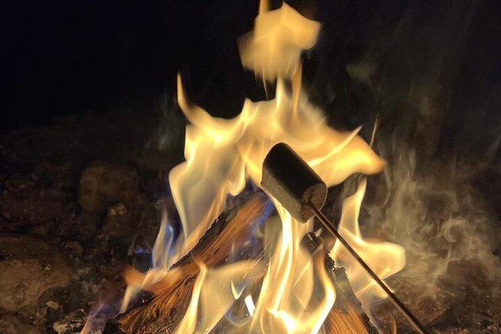 Aurora BBQ in the Private Place in Rovaniemi