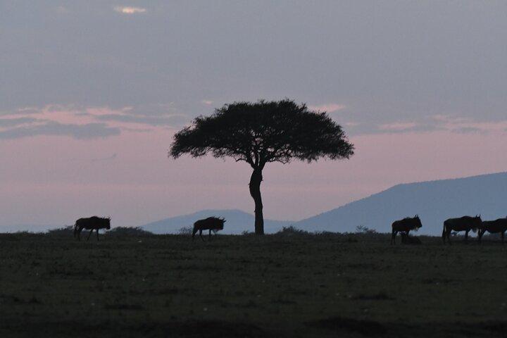 Private Luxury 3 Day Maasai Mara National Reserve Experience