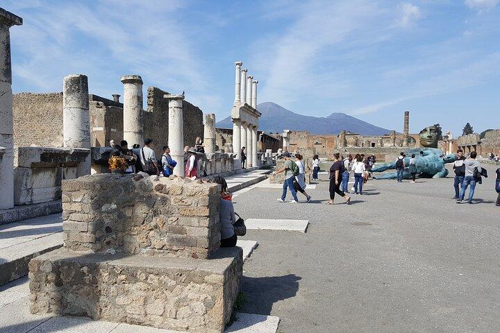 Rome to Pompeii Private Tour Hotel Pickup and Lunch at Wine Farm