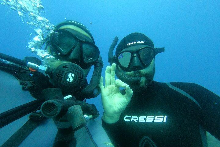Scuba Diving try dive in Fuerteventura