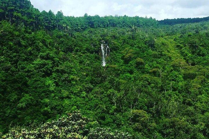 Fascinating Nature Tour Incl Ebony Forest, 7 Coloured Earth,Lunch