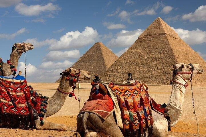 Day Tour To Giza Pyramids & old Egyptian Museum& Khan El Khalili