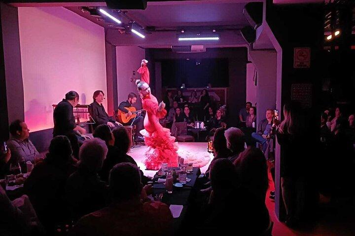 Flamenco Live Show and Dinner in Mexico City