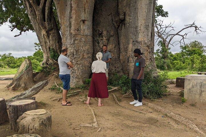 5 Days and 4 Nights Tanzania Big Five Safaris Private Tour