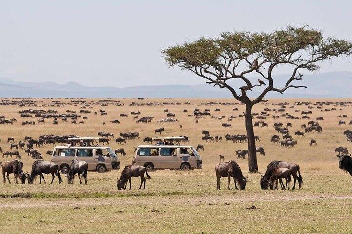 3 Days Masai Mara Sopa Lodge Luxury Safari