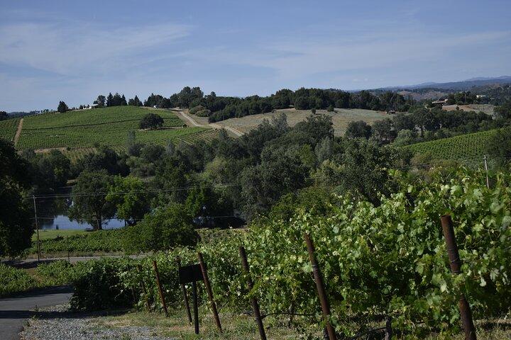 Apple Hill Wine Tasting Tours And Placerville wine tasting tours